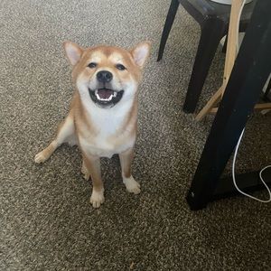 Meet your Posher, Aaron